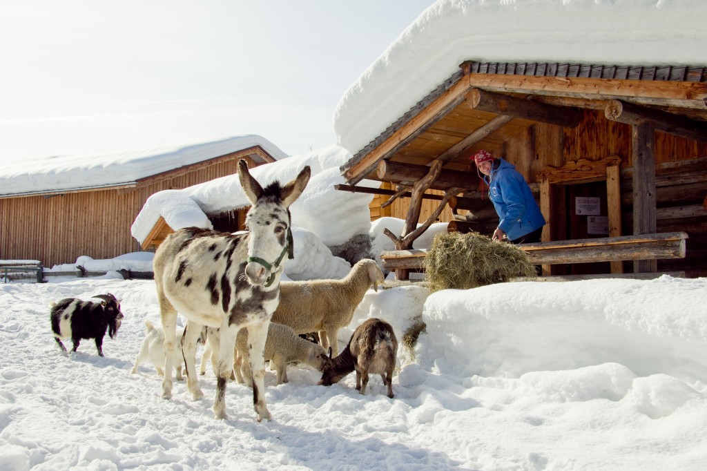 Skifahren in Österreich