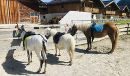 ponyreiten1-4-1.jpg